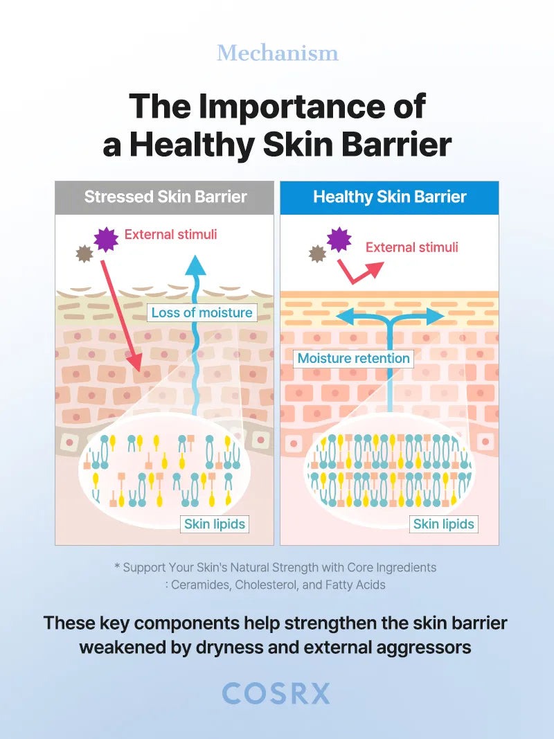 The Ceramide Skin Barrier Moisturizing Mist